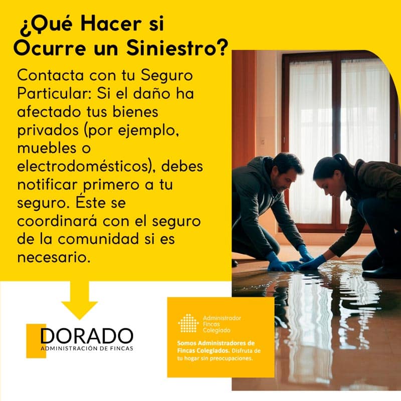 ¿Qué hacer si ocurre un siniestro? Dorado AyG